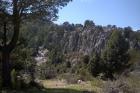 Natur und Wildnisbilder 