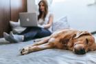 Homeoffice: Schreibkräfte
