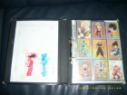Dragonball Cards