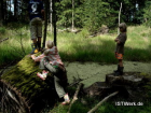 Werkstatt- und Natur - Camp