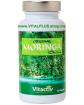 MORINGA die nährstoffreichste Pflanze der Welt