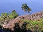 Finca Cerradura auf Teneriffa