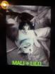 2 kleine amerikanische Shorthair Mix Katzen (16Wo, weibl.)