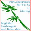 TCM - nicht nur Akupunktur