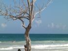 Tauchen in Diani Beach Kenia, buchen Sie einen Urlaub in Kenia