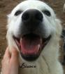 BIANCO sucht eigene Familie