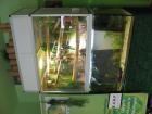 Paludarium   Aquaterrarium