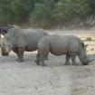 Namibia Rundreise zu den Höhepunkten, 10 Tage