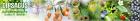 Naturprodukte online von DIPSACUS-NATURPRODUKTE.de