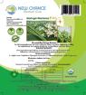 Moringa  Morisana Pflanzenextrakt   Natur pur  