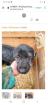 Tolle Welpen, Junghunde & Hundesenioren